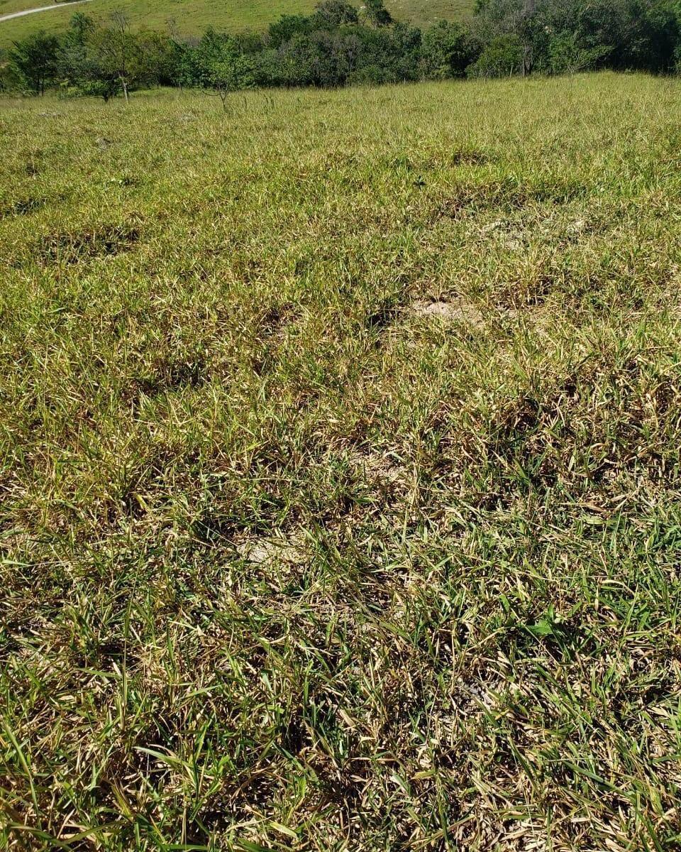 Fazenda, Centro, 1 Quarto, 0 Vaga