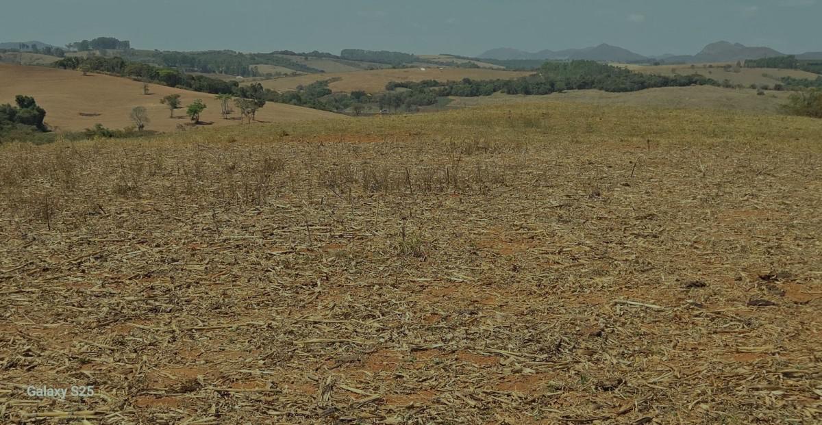 Fazenda, Centro, 1 Quarto, 21 Vagas, 1 Suíte
