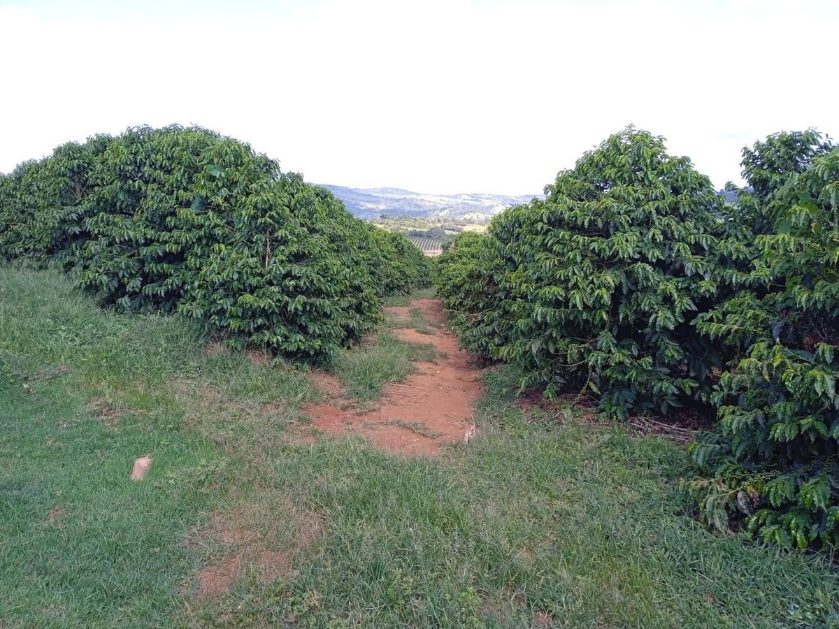 Fazenda, Zona Rural, 0 Quarto, 0 Vaga
