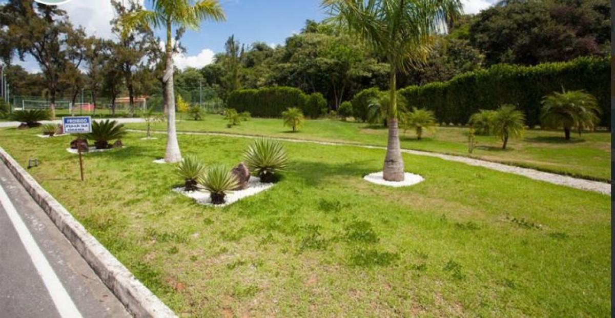 Lote, Vila das Flores, 0 Quarto, 0 Vaga