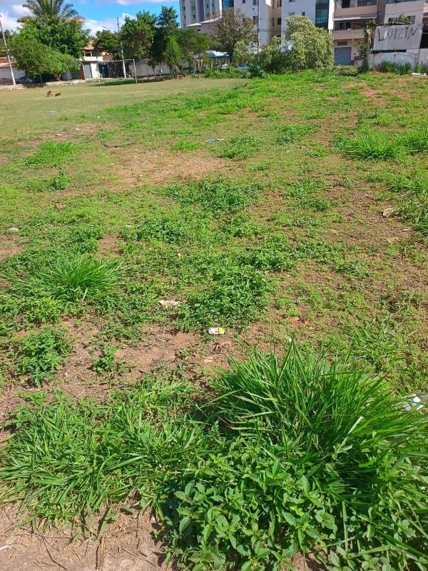 Lote, Parque Maracanã, 0 Quarto, 0 Vaga