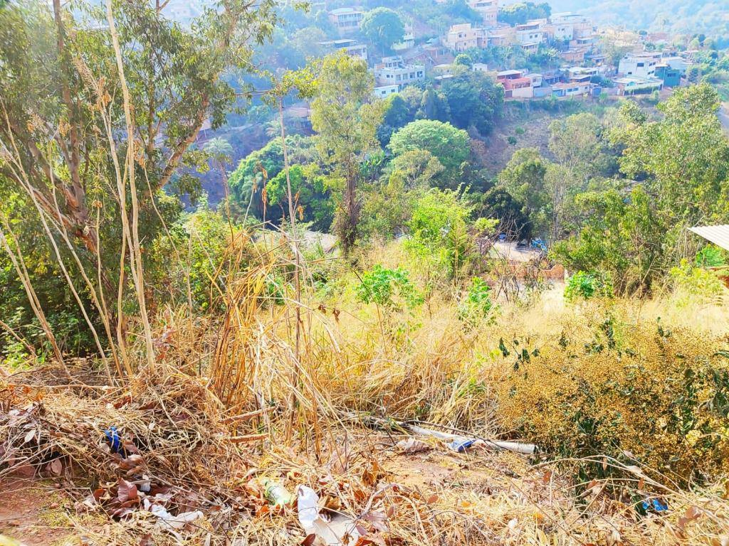 Lote, Nossa Senhora de Fátima, 0 Quarto, 0 Vaga
