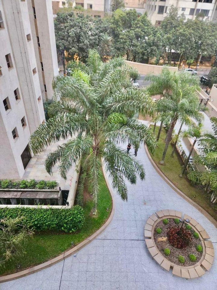 Apartamento, Lourdes, 4 Quartos, 3 Vagas, 2 Suítes