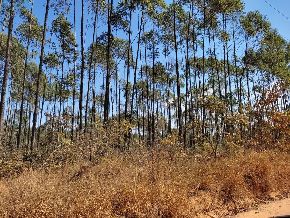 Lote, Penedo, 0 Quarto, 0 Vaga