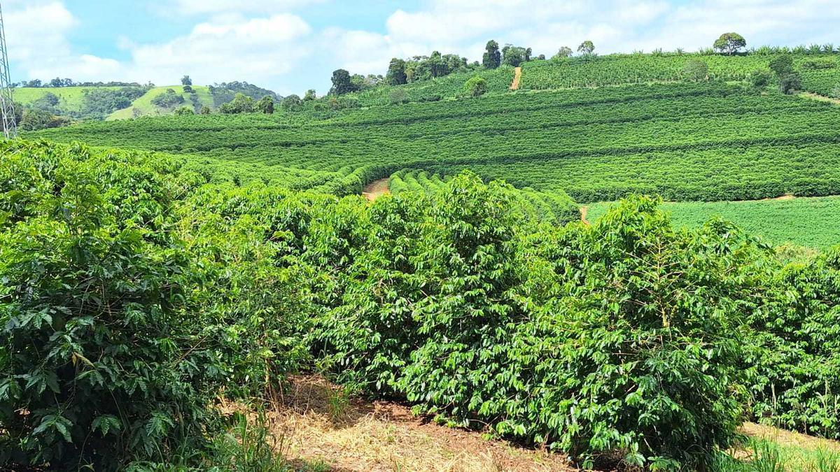 Fazenda, Zona Rural, 3 Quartos, 0 Vaga