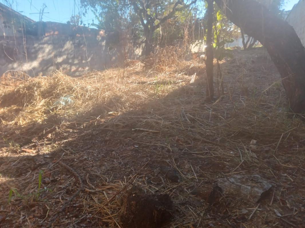 Lote, Lundcea, 0 Quarto, 0 Vaga