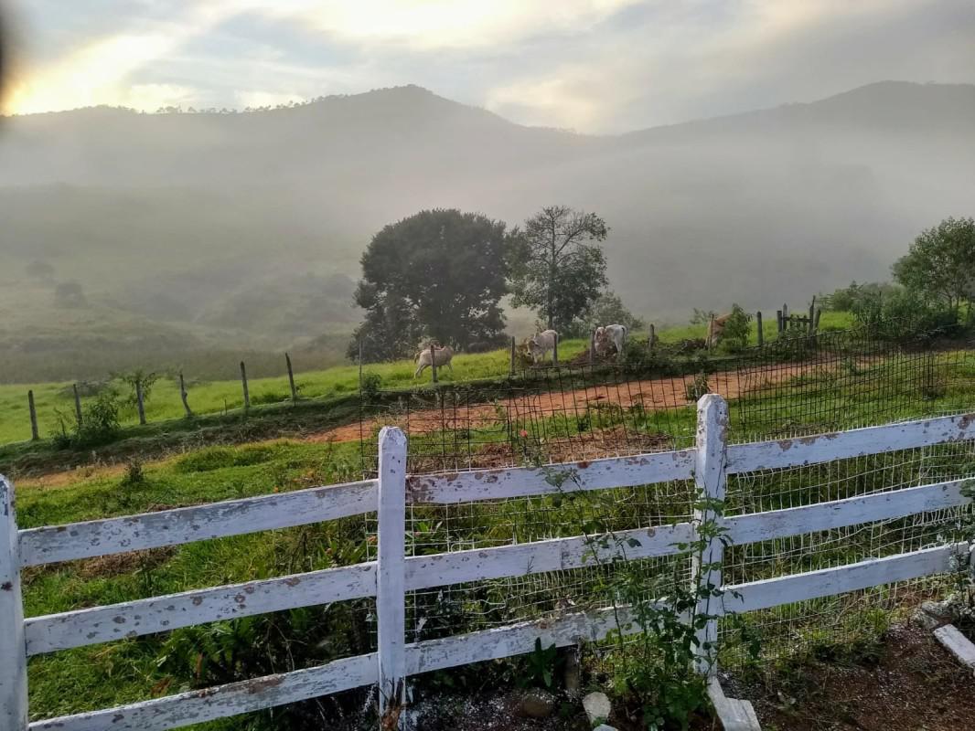 Fazenda, Zona Rural, 0 Quarto, 0 Vaga