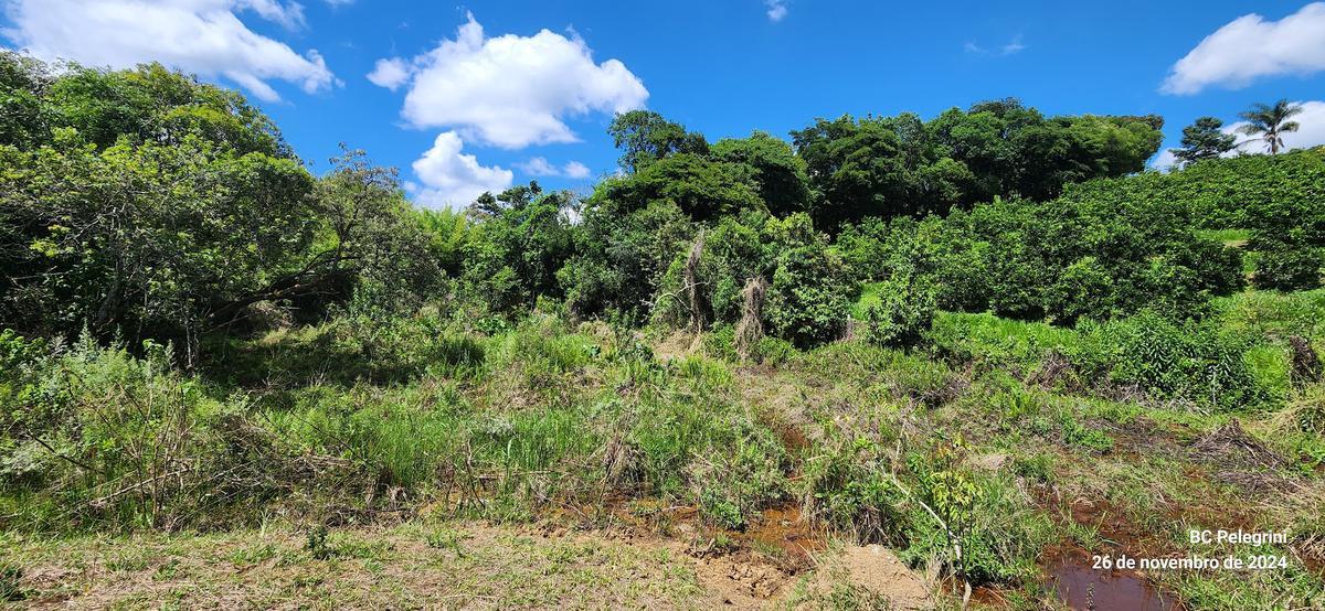 Fazenda, Zona Rural, 1 Quarto, 0 Vaga