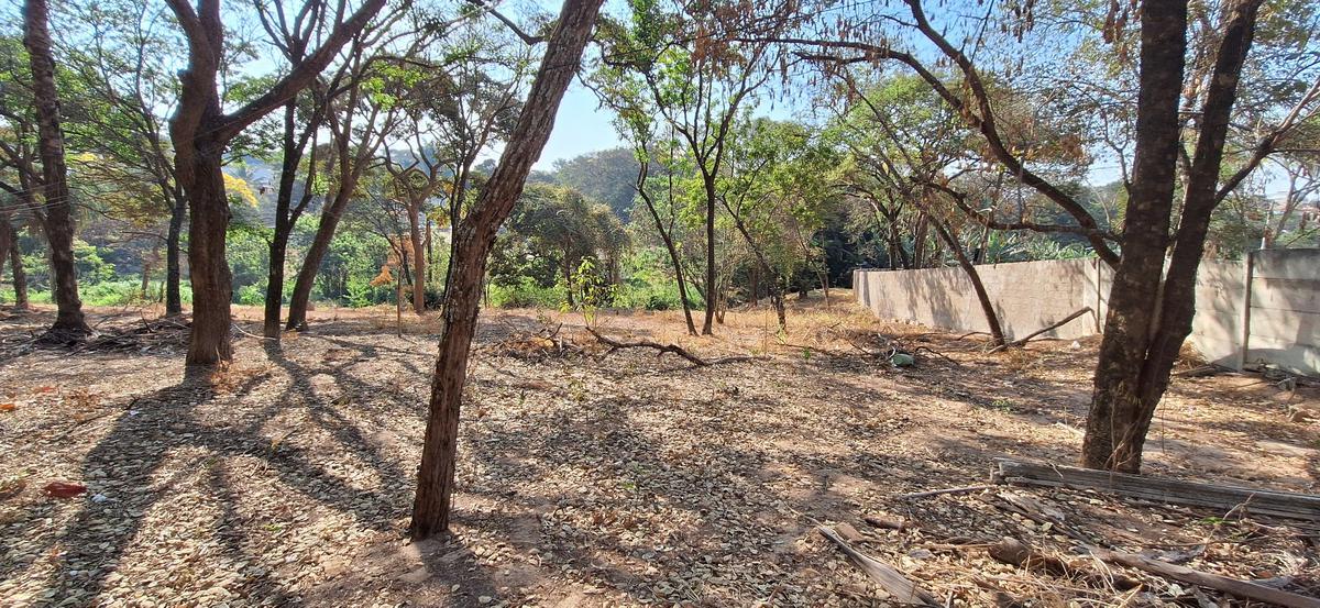 Lote, Chácara Cotia, 0 Quarto, 0 Vaga