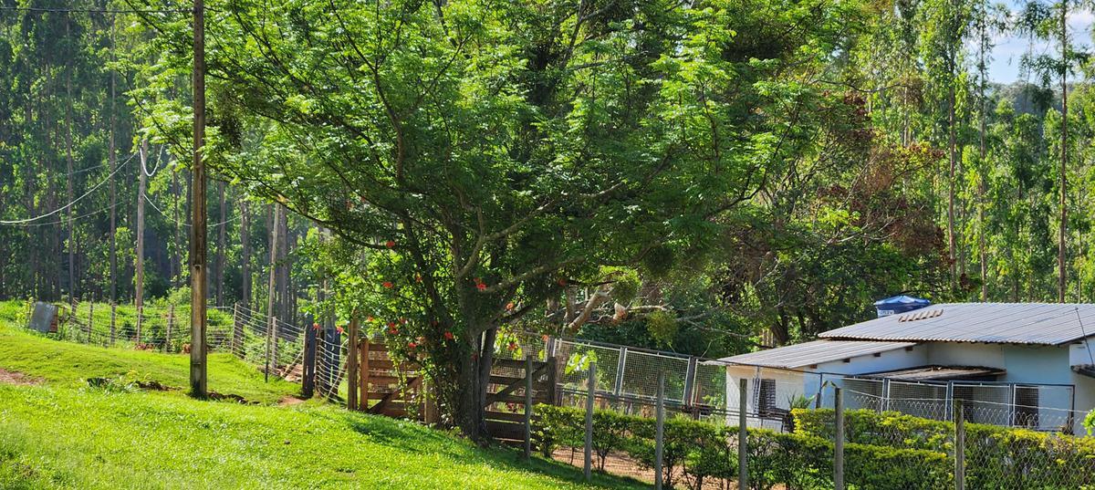 Fazenda, Zona Rural, 3 Quartos, 2 Vagas, 1 Suíte