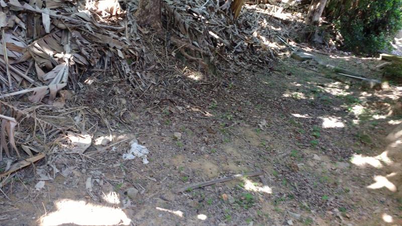 Lote, Alvorada, 0 Quarto, 0 Vaga