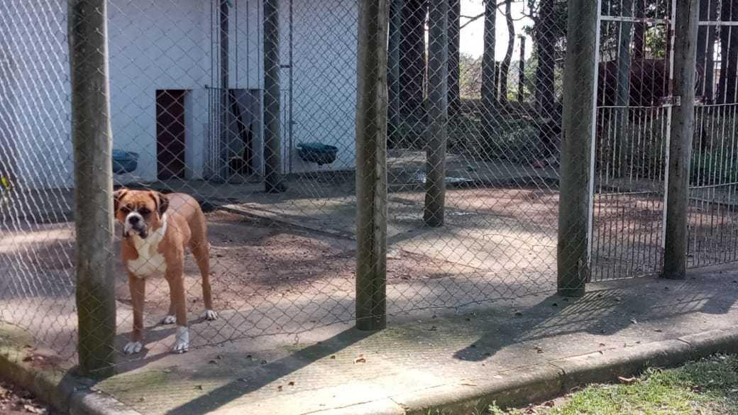 Fazenda, Zona Rural, 3 Quartos, 2 Vagas, 2 Suítes