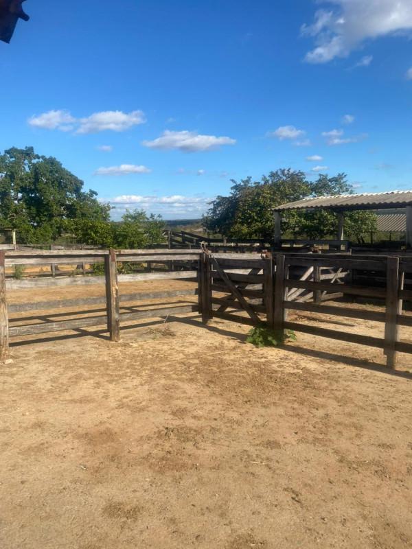 Fazenda, Zona Rural, 0 Quarto, 0 Vaga