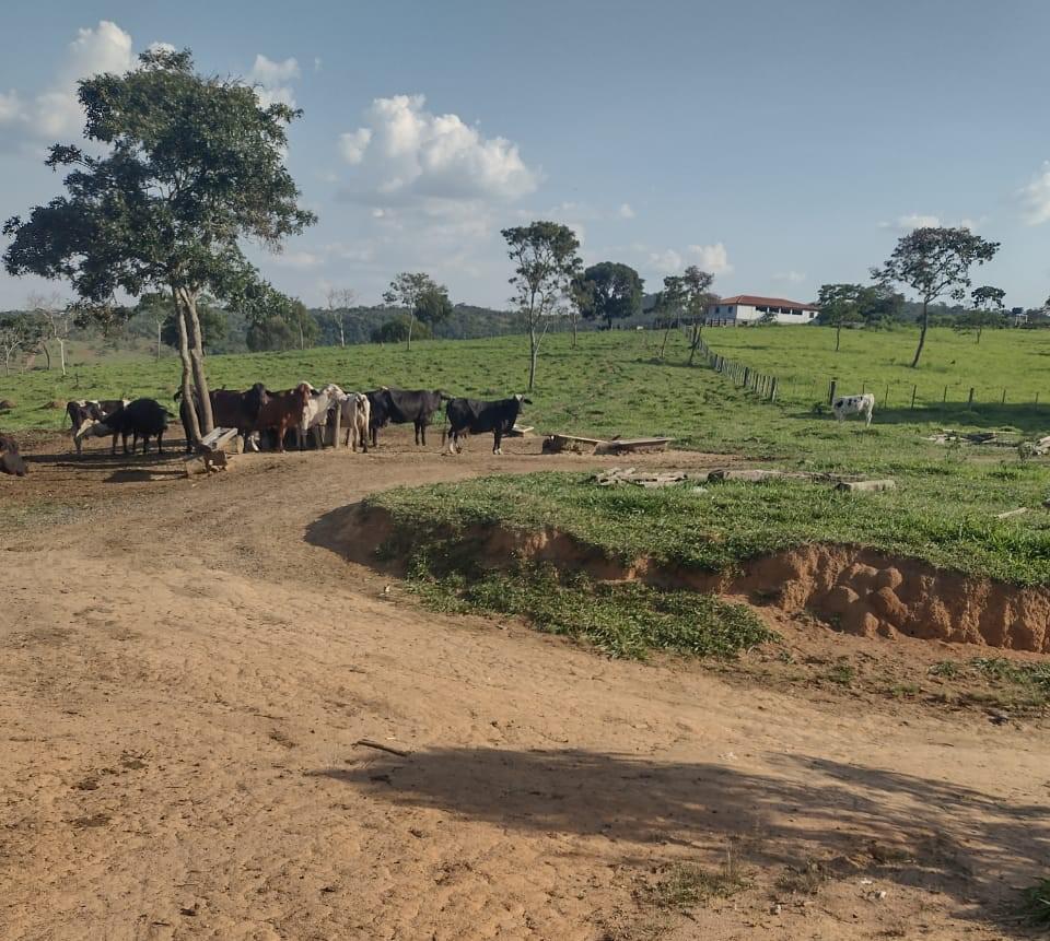 Fazenda, Centro, 1 Quarto, 0 Vaga
