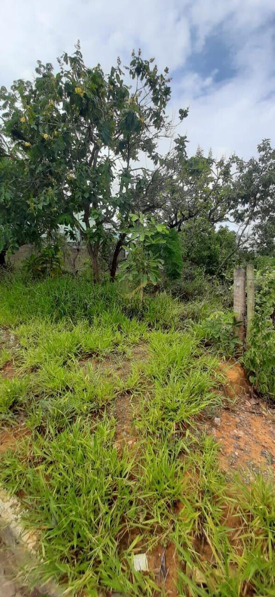 Lote, Bela Vista II, 0 Quarto