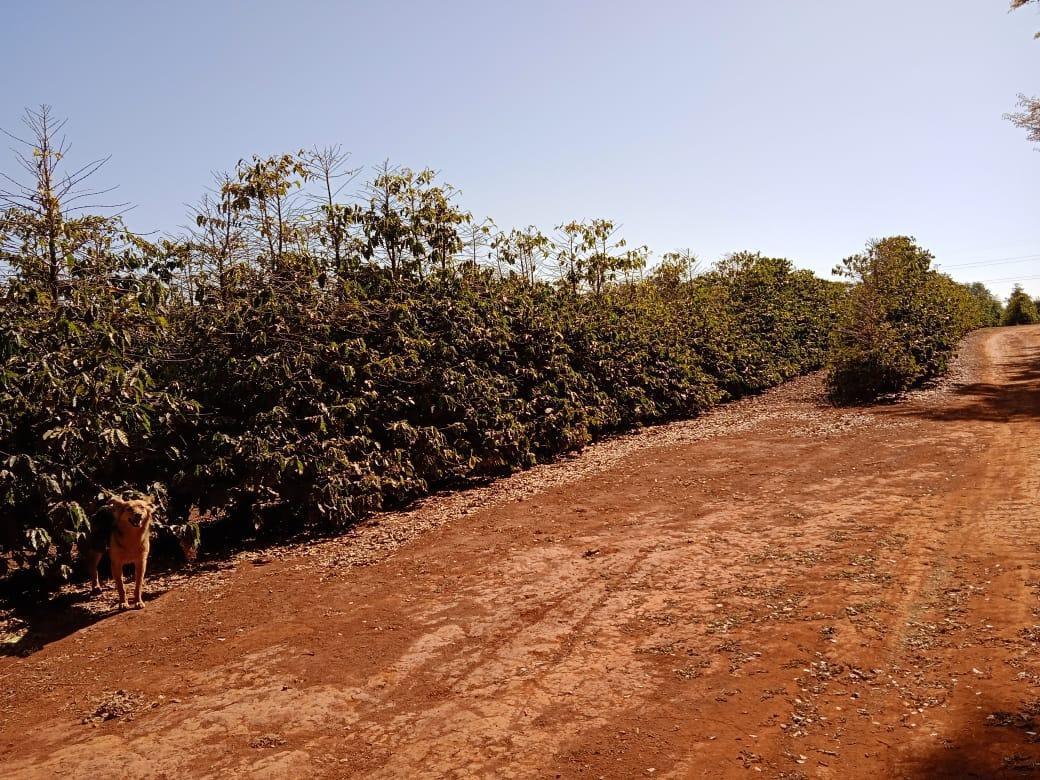 Fazenda, Zona Rural, 2 Quartos, 0 Vaga