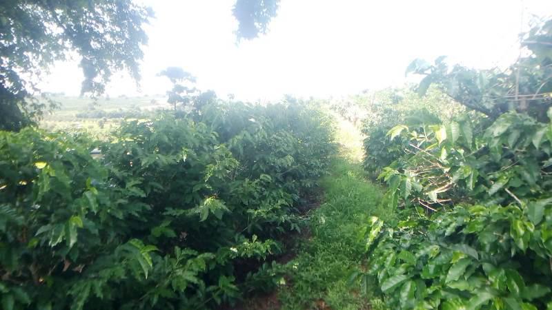 Fazenda, Zona Rural, 0 Quarto, 0 Vaga