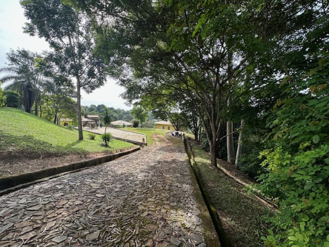 Apartamento, Condomínio Solar das Palmeiras, 5 Quartos, 10 Vagas, 2 Suítes