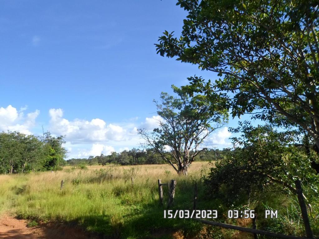 Fazenda, Centro, 4 Quartos, 0 Vaga