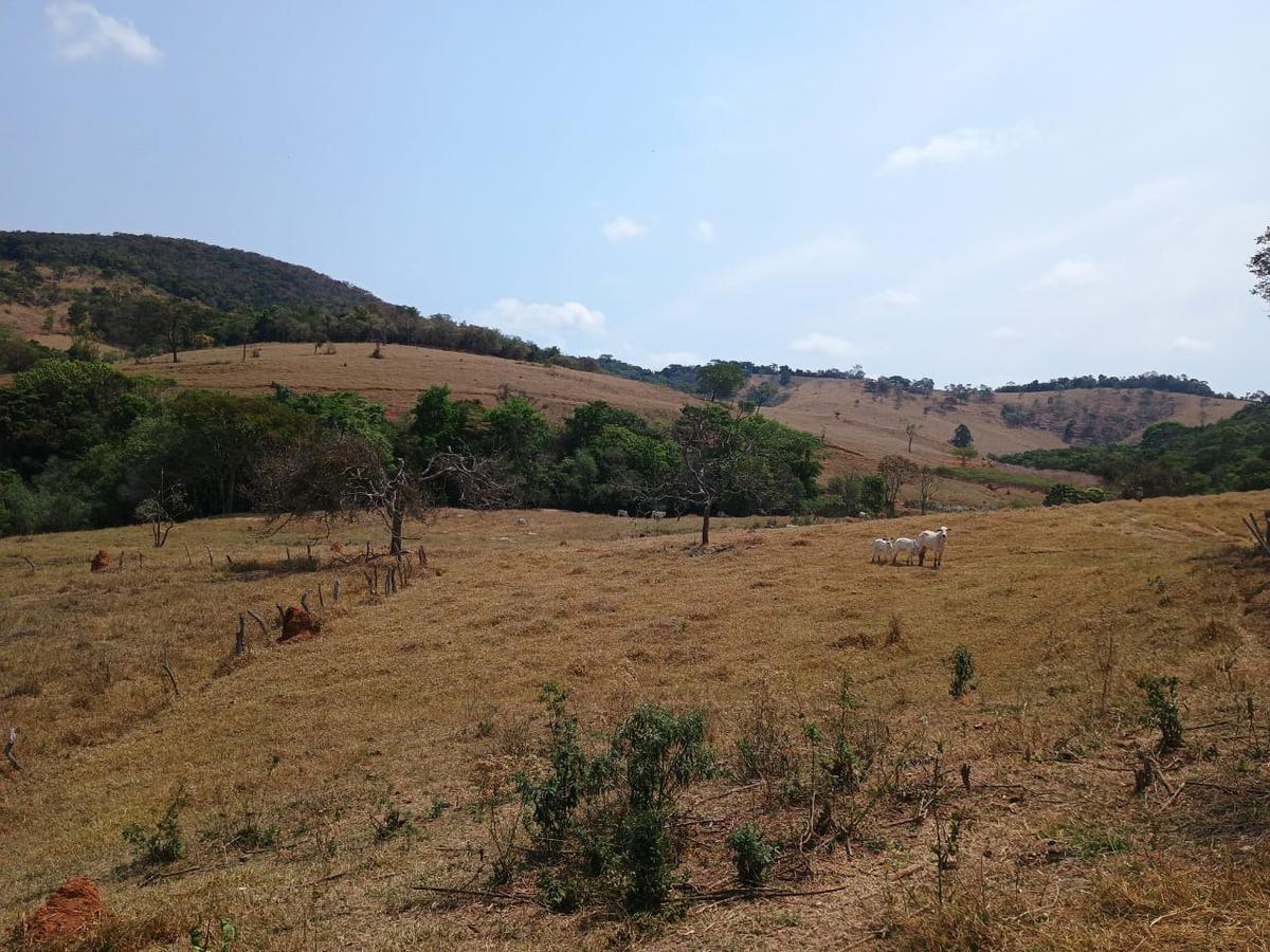 Fazenda, Centro, 3 Quartos, 10 Vagas, 1 Suíte
