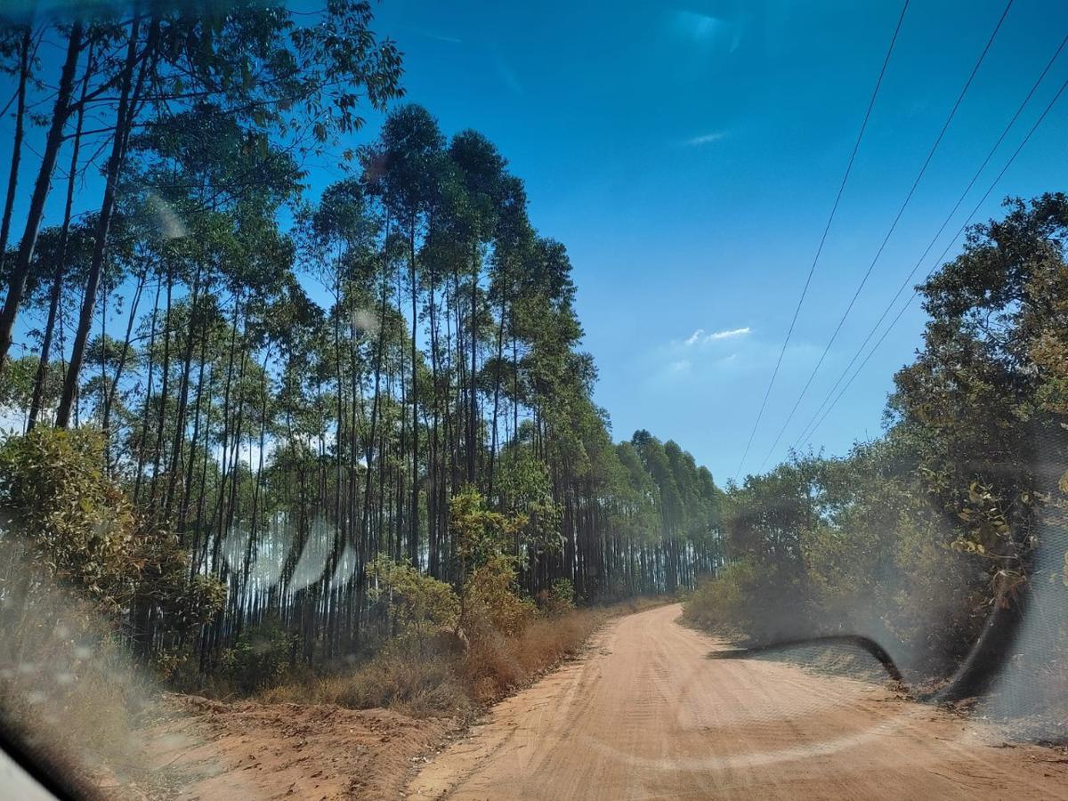 Lote, Penedo, 0 Quarto, 0 Vaga