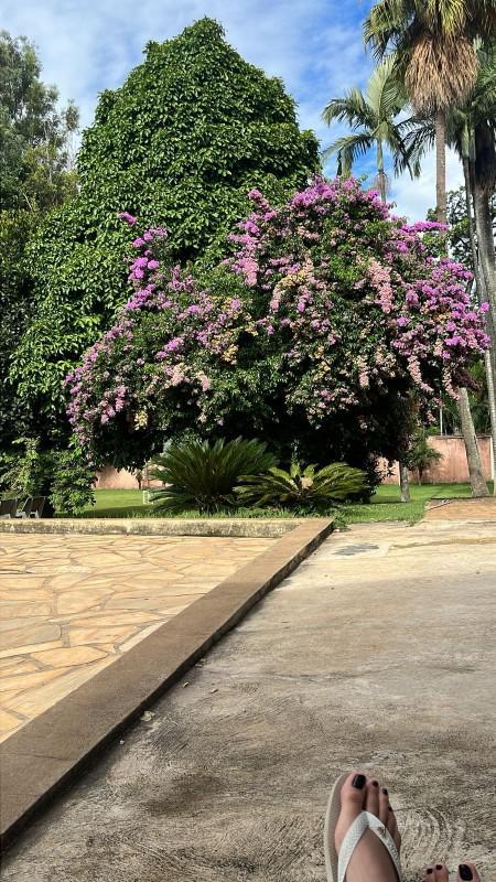 Fazenda, Nossa Senhora de Fátima, 3 Quartos, 5 Vagas, 2 Suítes