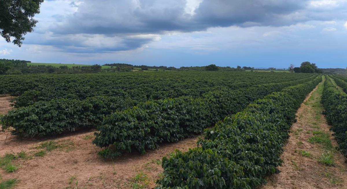 Fazenda, Zona Rural, 0 Quarto, 0 Vaga