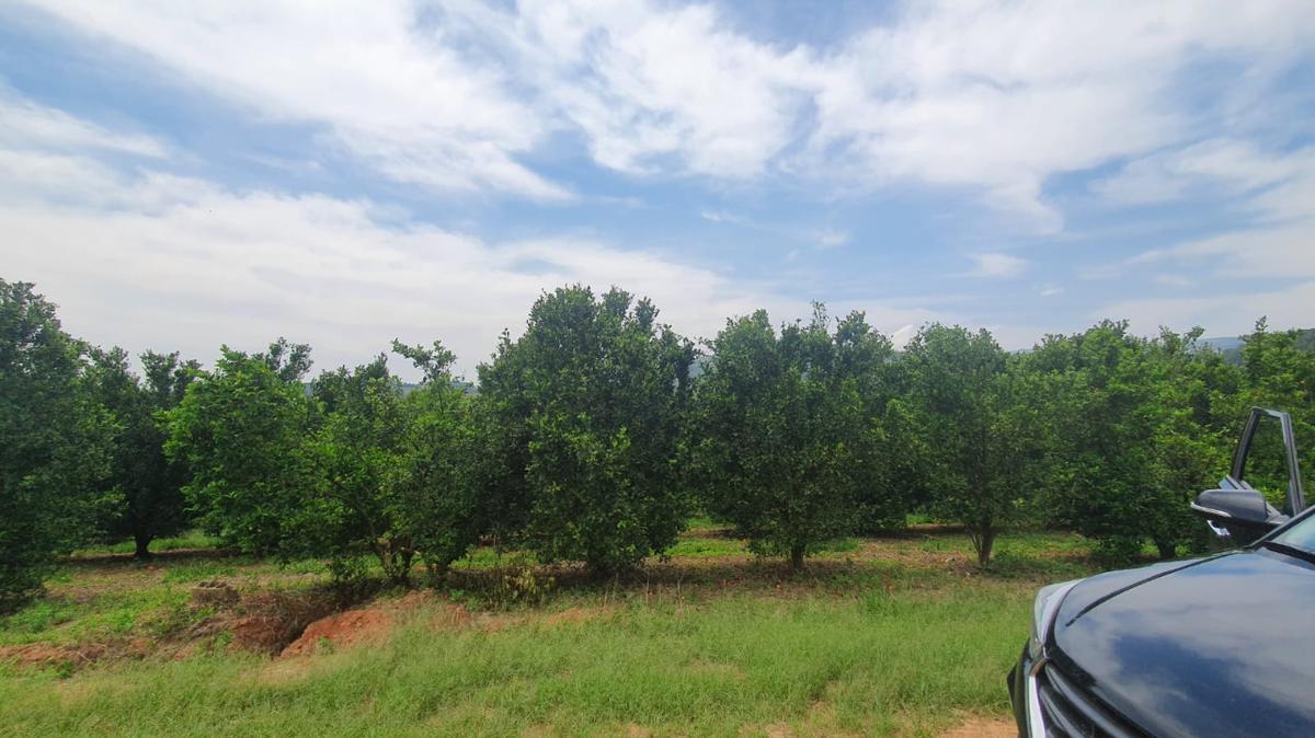Fazenda, Zona Rural, 3 Quartos, 0 Vaga, 1 Suíte