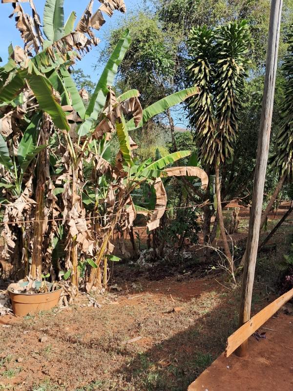 Fazenda, Zona Rural, 3 Quartos, 5 Vagas