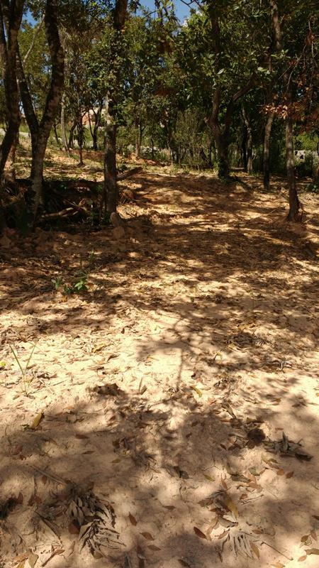 Fazenda, Centro, 3 Quartos, 8 Vagas, 1 Suíte