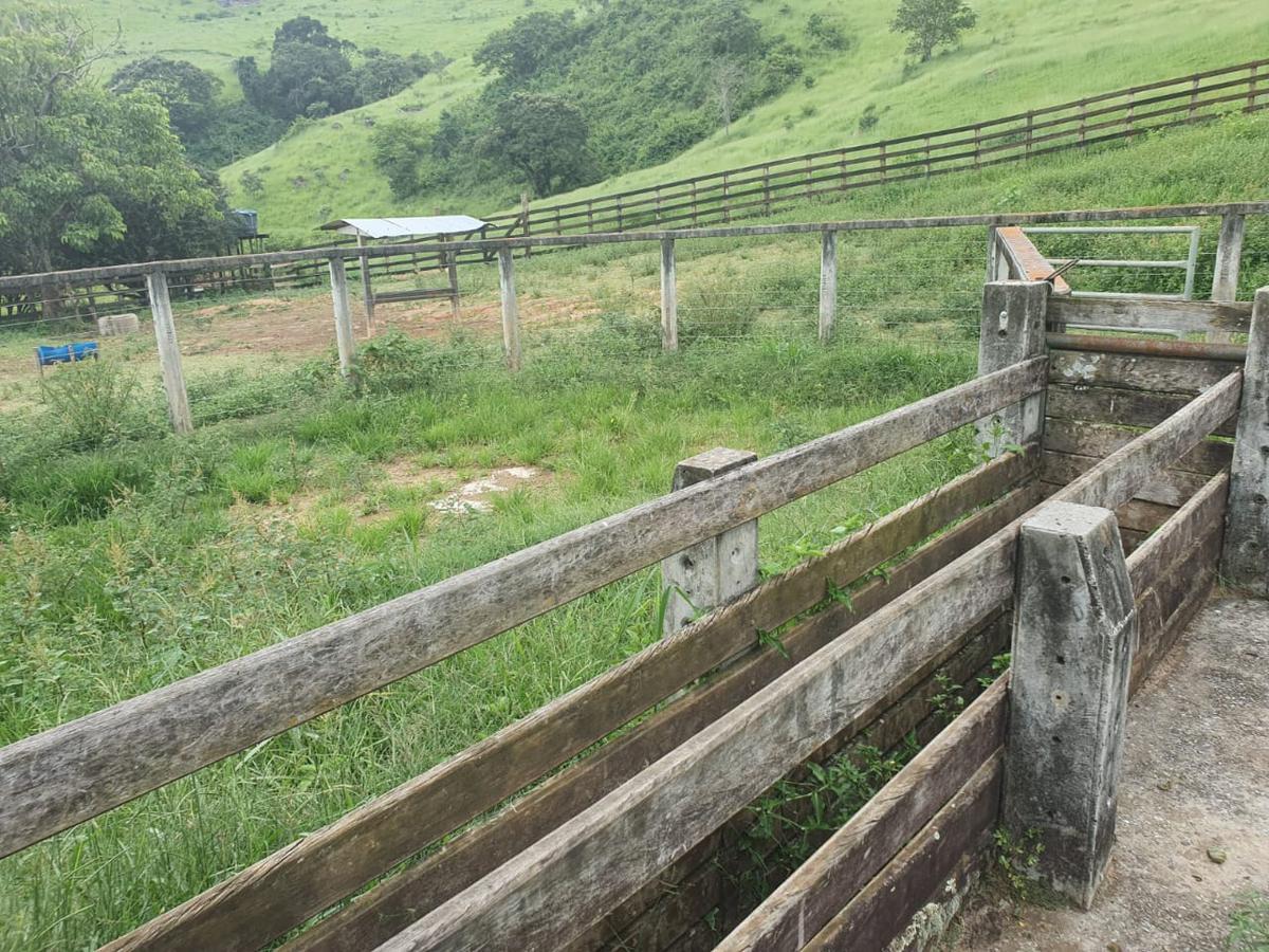 Fazenda, Centro, 4 Quartos, 2 Vagas, 1 Suíte