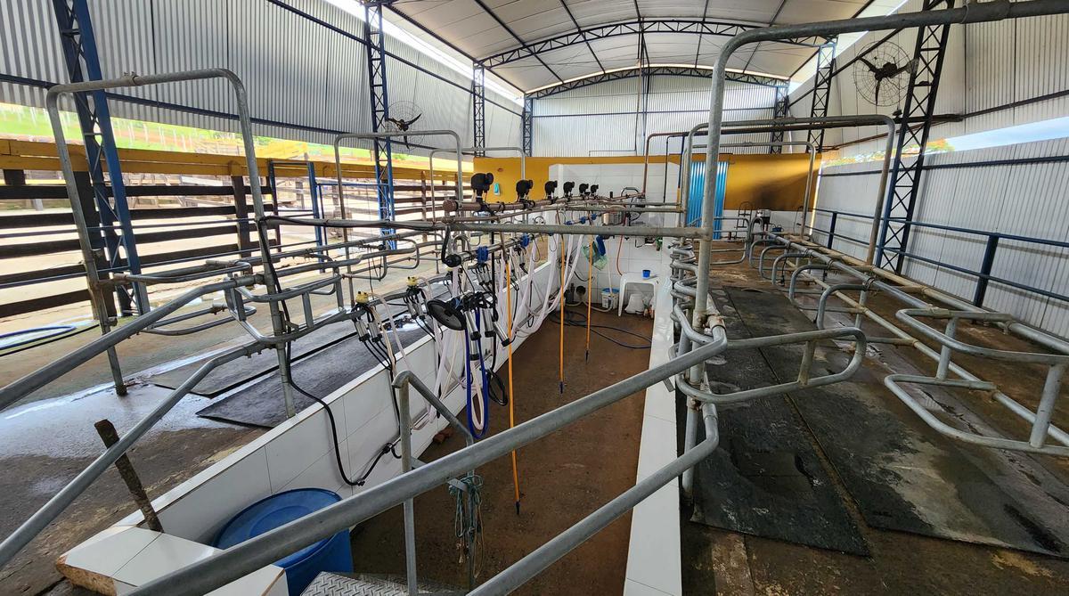 Fazenda, Centro, 6 Quartos, 4 Vagas, 1 Suíte