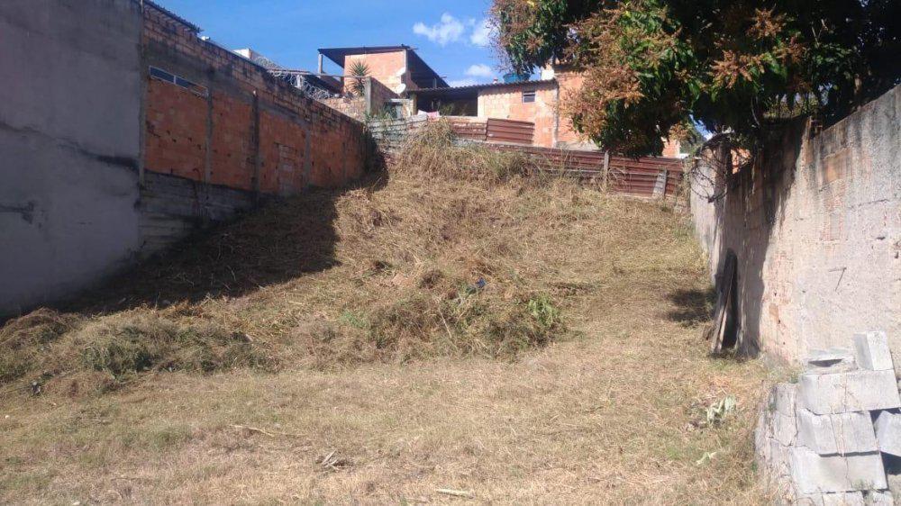 Lote, Cruzeiro do Sul, 0 Quarto, 0 Vaga