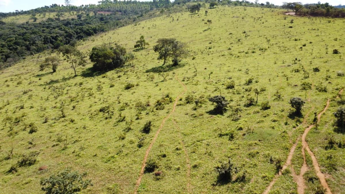 Fazenda, Zona Rural, 0 Quarto, 0 Vaga