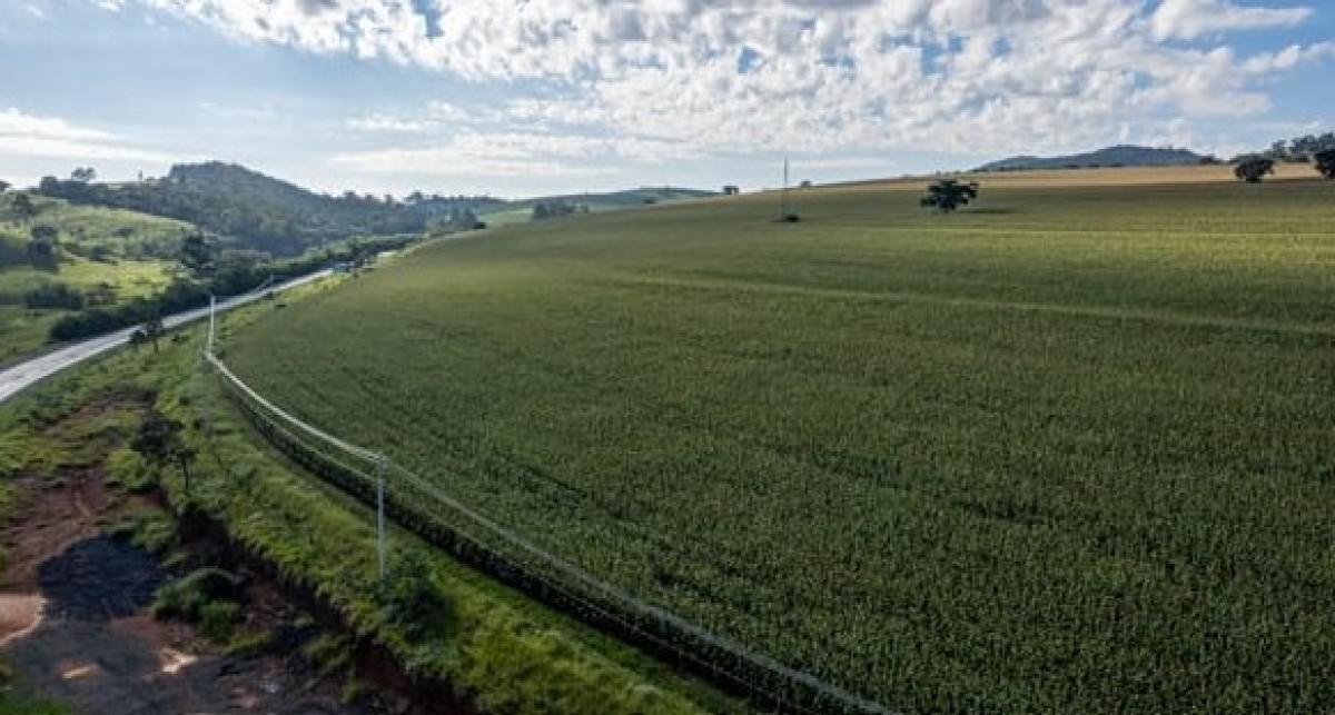 Fazenda, Zona Rural, 0 Quarto, 0 Vaga