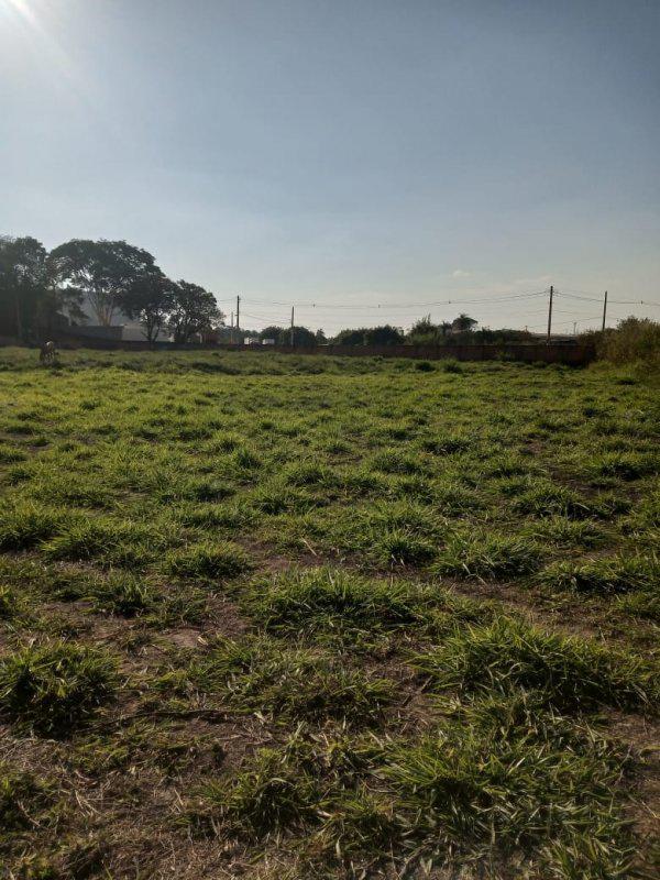 Lote, Bandeirinhas, 0 Quarto, 0 Vaga
