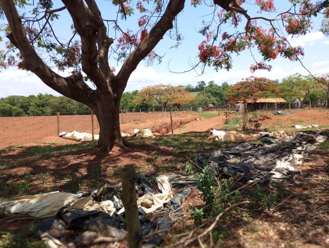 Fazenda, Centro, 0 Quarto, 0 Vaga