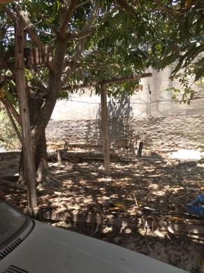 Lote, Rosaneves, 0 Quarto, 0 Vaga