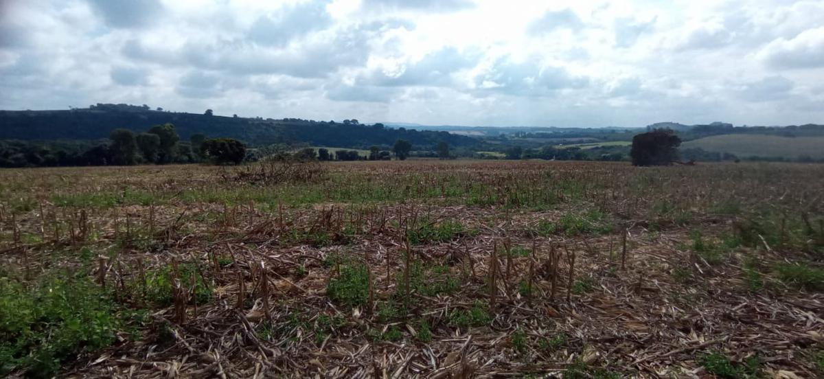 Fazenda, Zona Rural, 3 Quartos, 4 Vagas, 1 Suíte