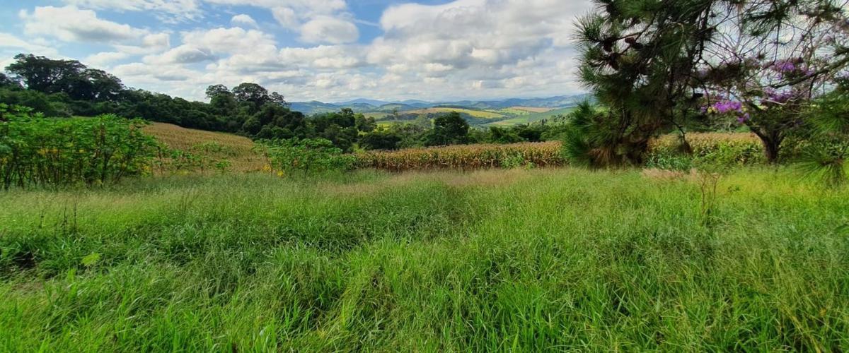 Lote, Centro, 4 Quartos, 2 Vagas