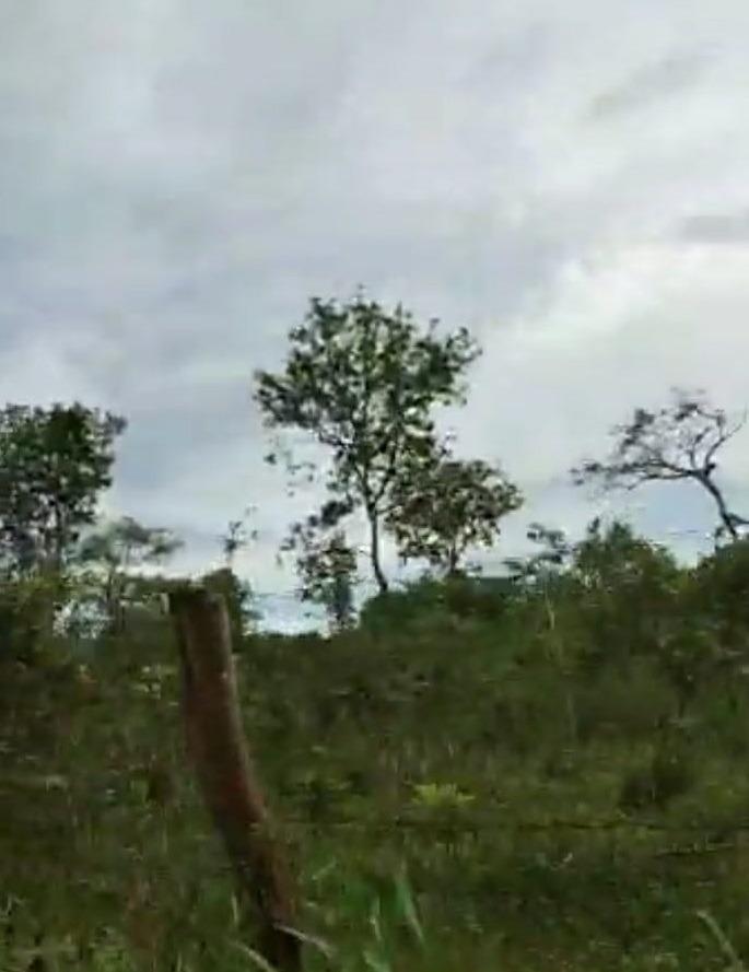 Fazenda, Zona Rural, 0 Quarto, 0 Vaga