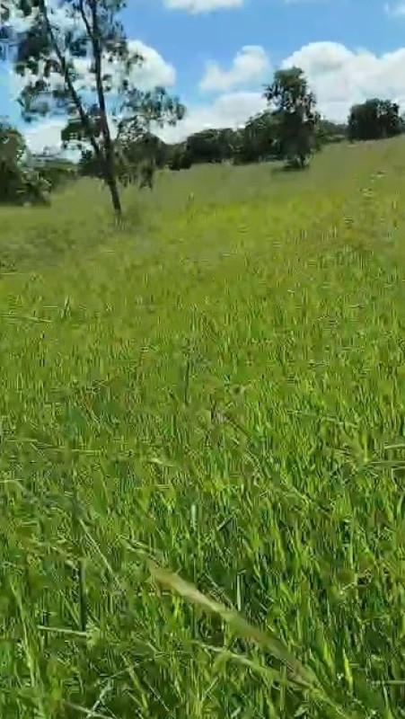 Fazenda, Zona Rural, 0 Quarto, 0 Vaga