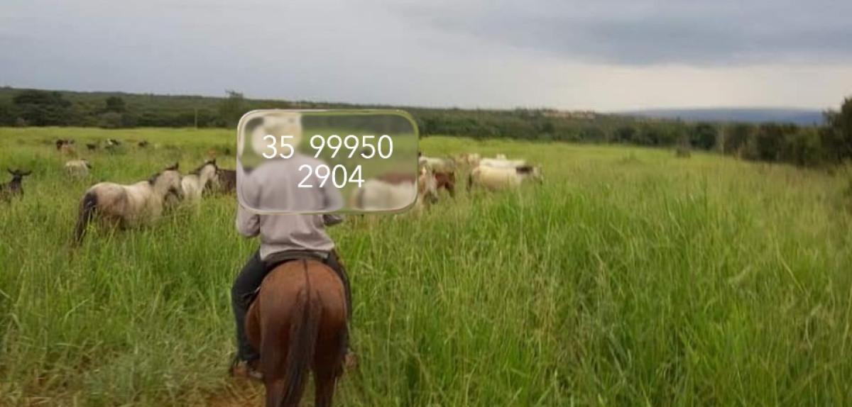Fazenda, Zona Rural, 0 Quarto, 0 Vaga