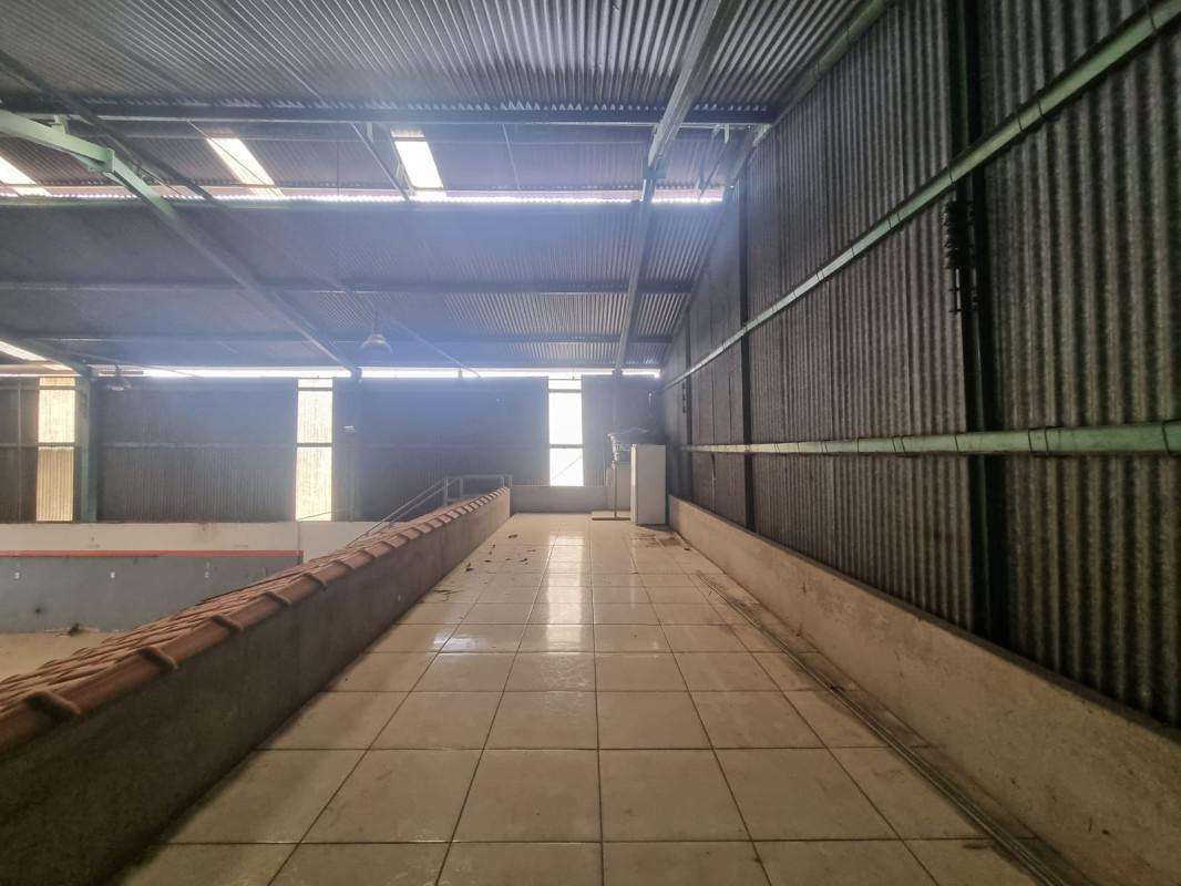 Galpão, Flamengo, 0 Quarto, 10 Vagas