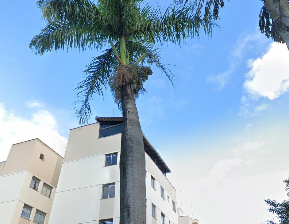 Cobertura, Serra Verde (venda Nova), 3 Quartos, 2 Vagas