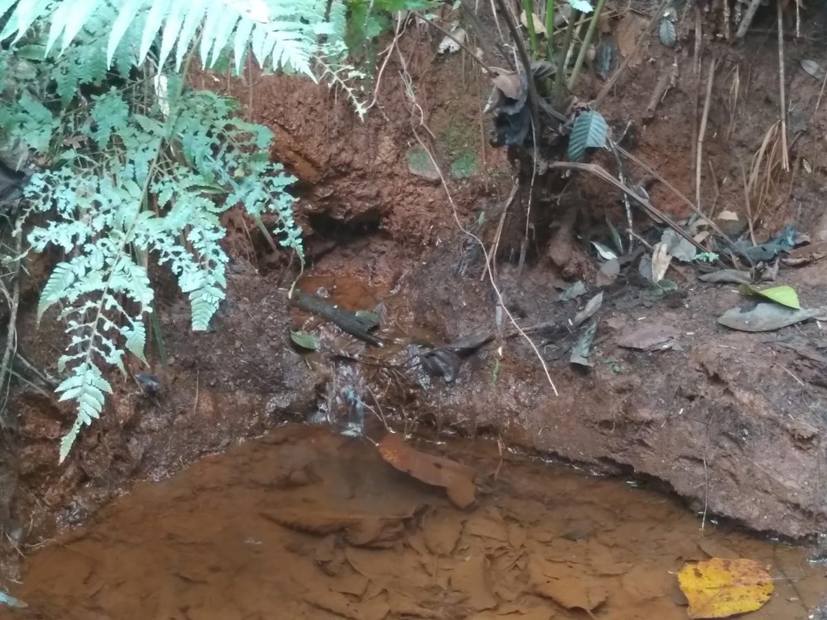 Fazenda, Zona Rural, 3 Quartos, 5 Vagas