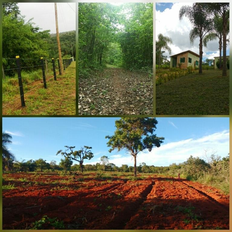 Lote, Centro, 0 Quarto, 0 Vaga