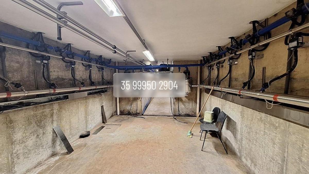 Fazenda, Zona Rural, 0 Quarto, 0 Vaga