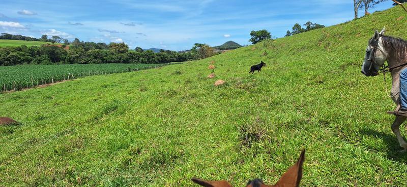 Lote, Zona Rural, 2 Quartos
