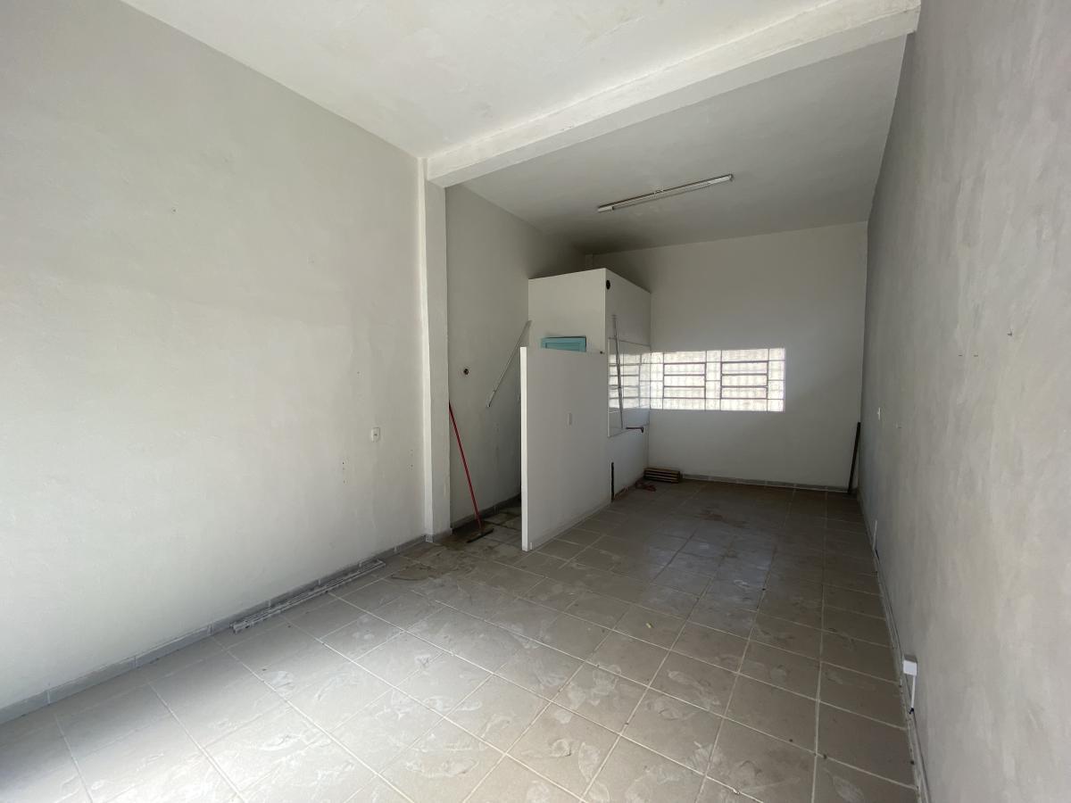 Andar, Floresta, 0 Quarto, 0 Vaga
